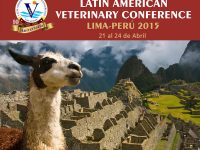 LAVC 2015