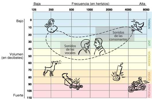 sonidos respiratorio 2