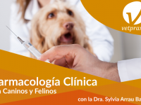 Reto Veterinario: Farmacología
