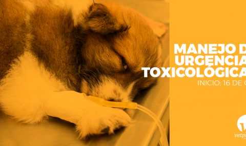 Manejo de Urgencias Toxicológicas
