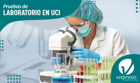 Pruebas de Laboratorio en UCI