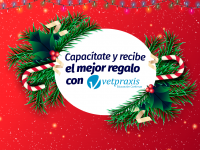 ¡Celebremos juntos esta Navidad!