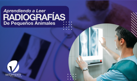 Aprendiendo a Leer Radiografías de Pequeños Animales