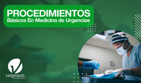 Procedimientos Básicos en Medicina de Urgencias y Cuidados Intensivos